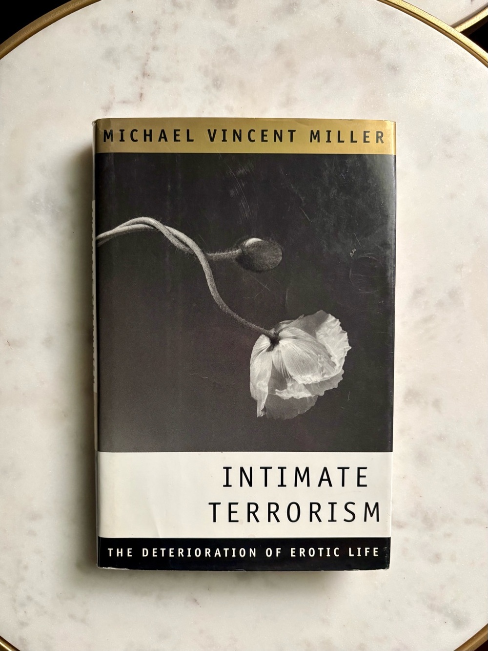 Intimate Terrorism by Michael Vincent Miller Hardcover Book